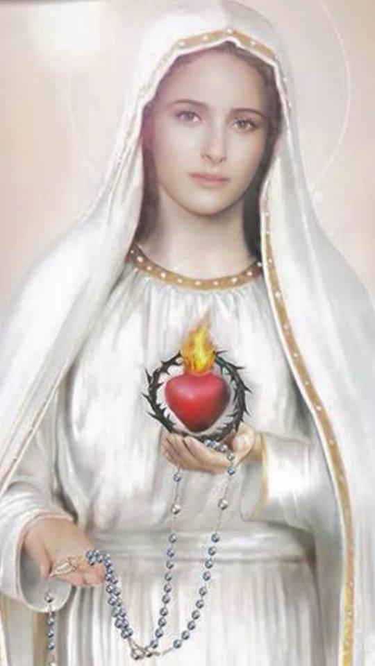 1519589653963 173916696